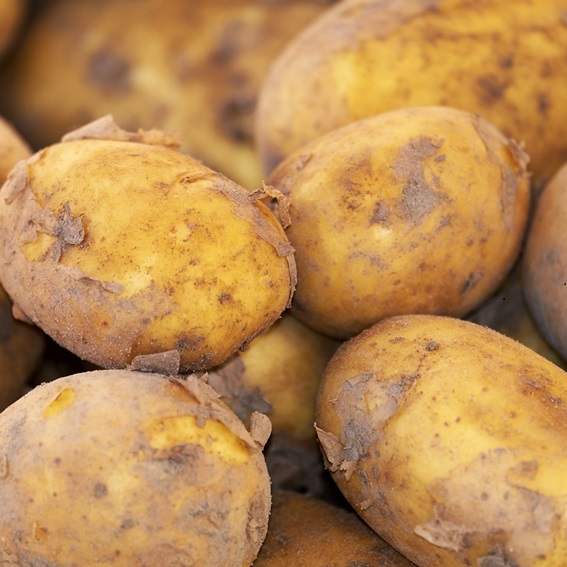 Die gute alte Kartoffel und was sie alles kann